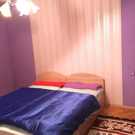 Проживание в семье Teo Плевна